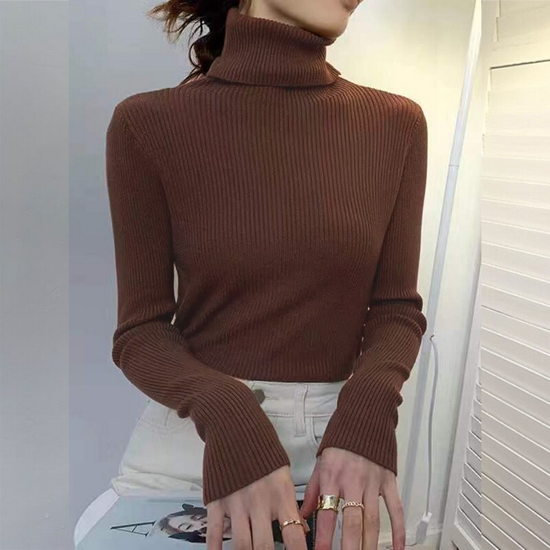 New Winter Sweater Womens Long Sleeve Top Autumn Pullover Fashion Woman Jumpers Korean Style Comfortable Turtleneck Knitwear